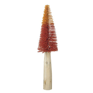 Autumn Bristle Tree