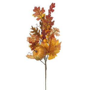 Autumn Stem  Branch