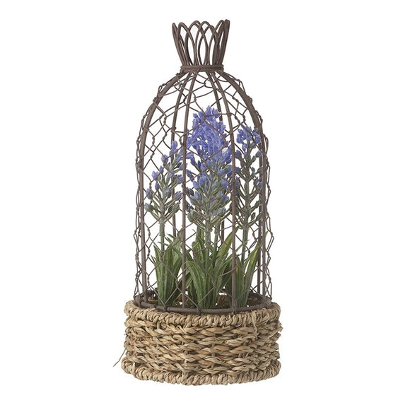 Lavender in Birdcage