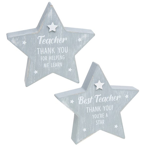 Teacher Star x 1