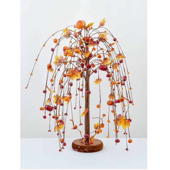 Weeping Autumn Tree