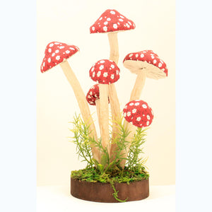 Red Toadstool Cluster